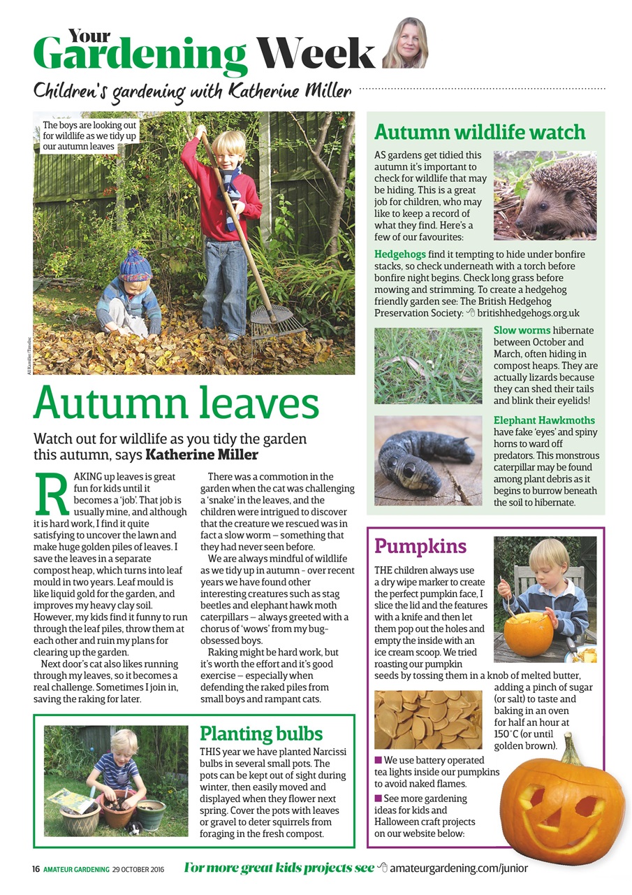 Amateur Gardening Preview Pages