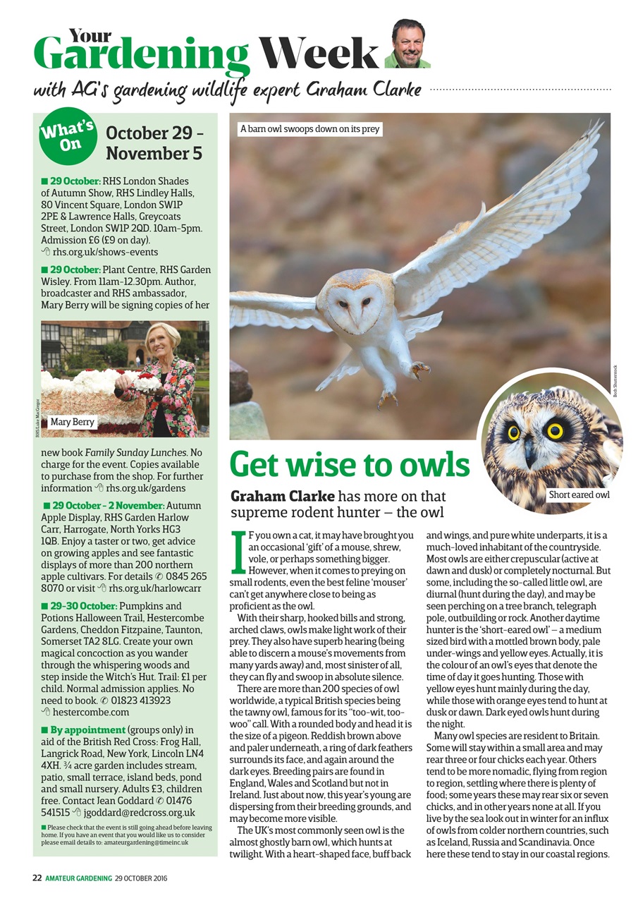 Amateur Gardening Preview Pages