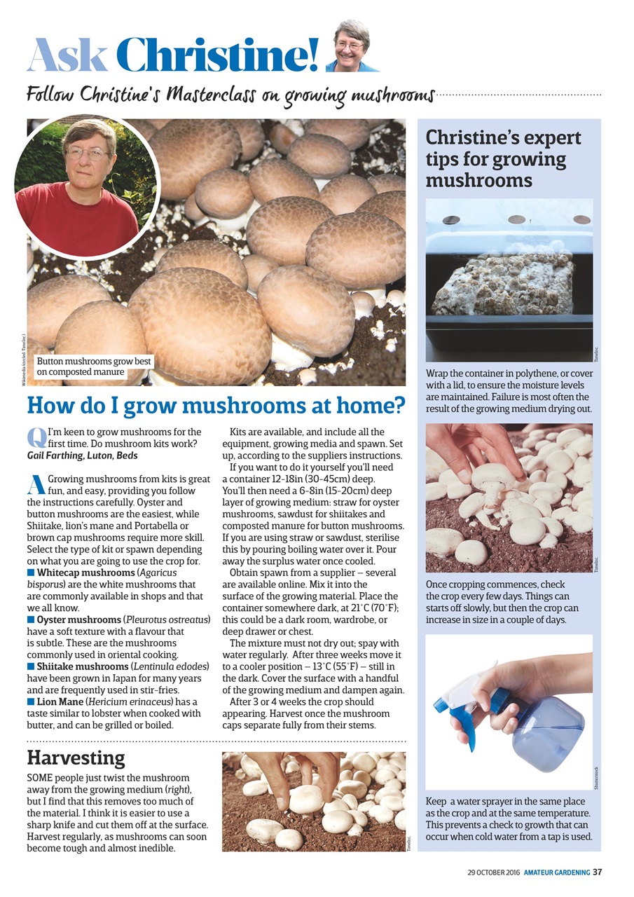 Amateur Gardening Preview Pages