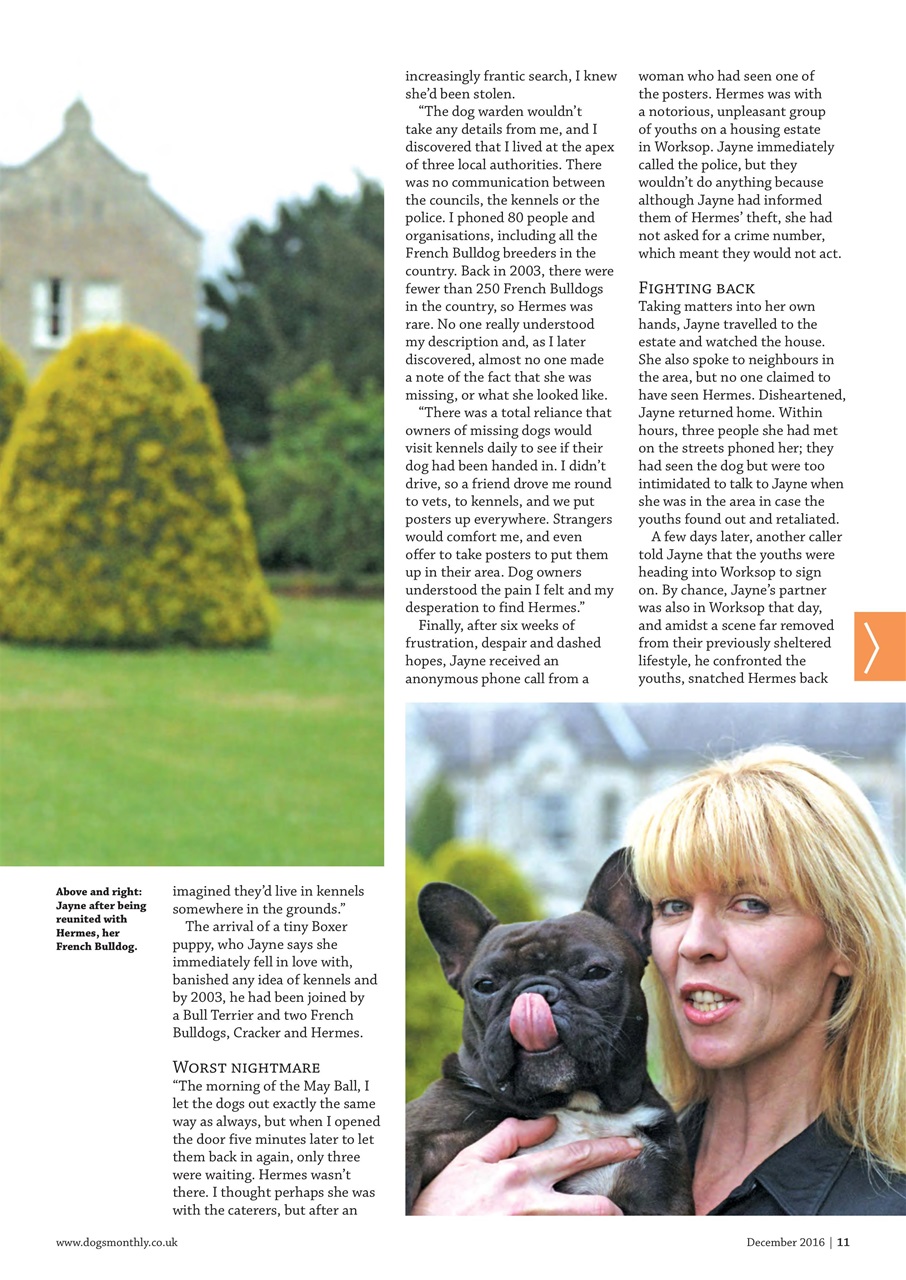 Dogs Monthly Preview Pages