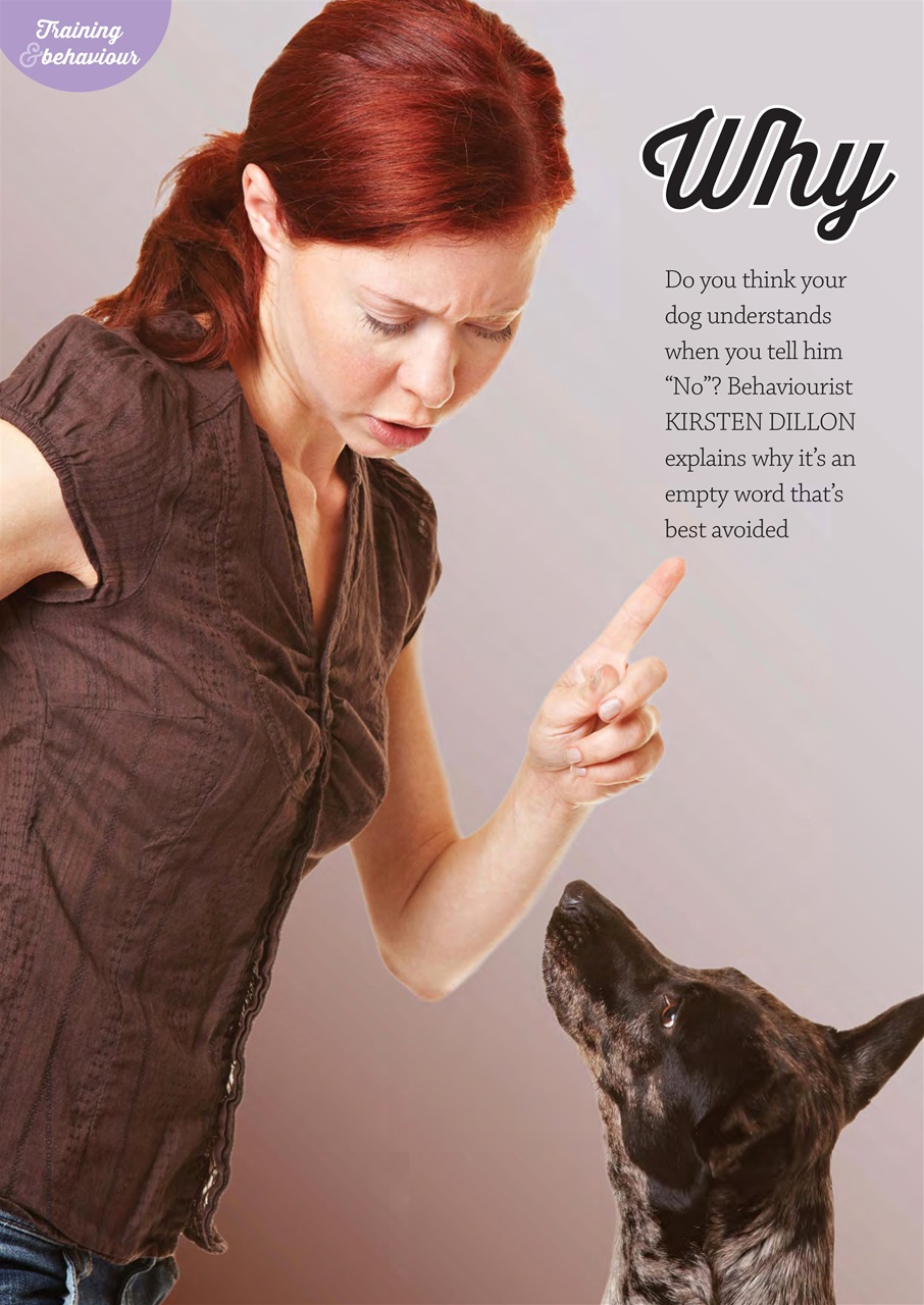 Dogs Monthly Preview Pages