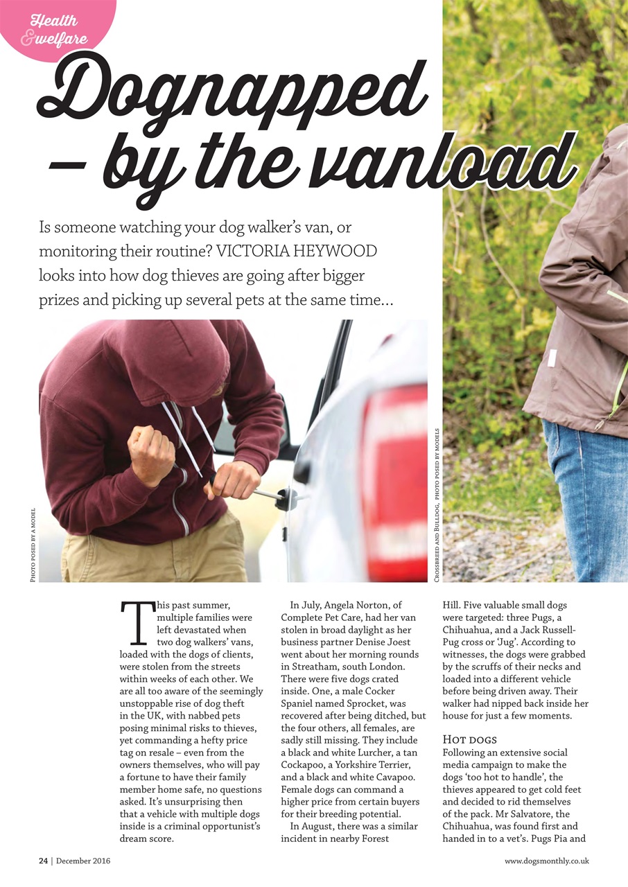 Dogs Monthly Preview Pages