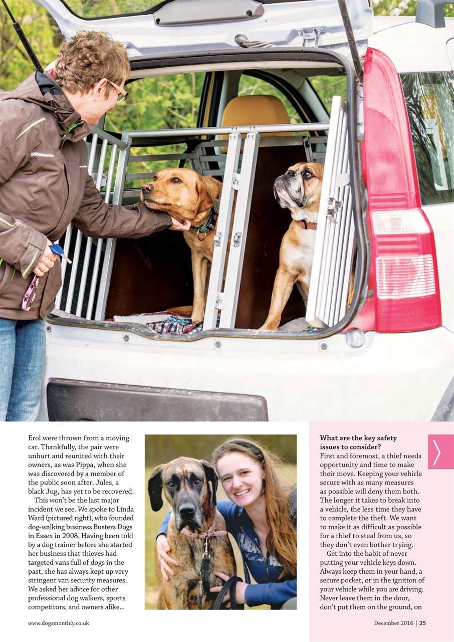 Dogs Monthly Preview Pages