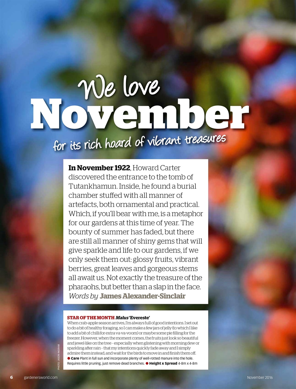 BBC Gardeners’ World Magazine Preview Pages