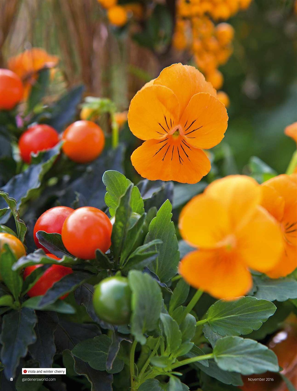 BBC Gardeners’ World Magazine Preview Pages