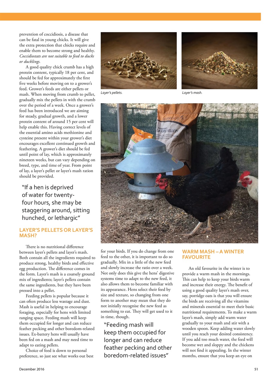 Home Farmer Magazine Preview Pages