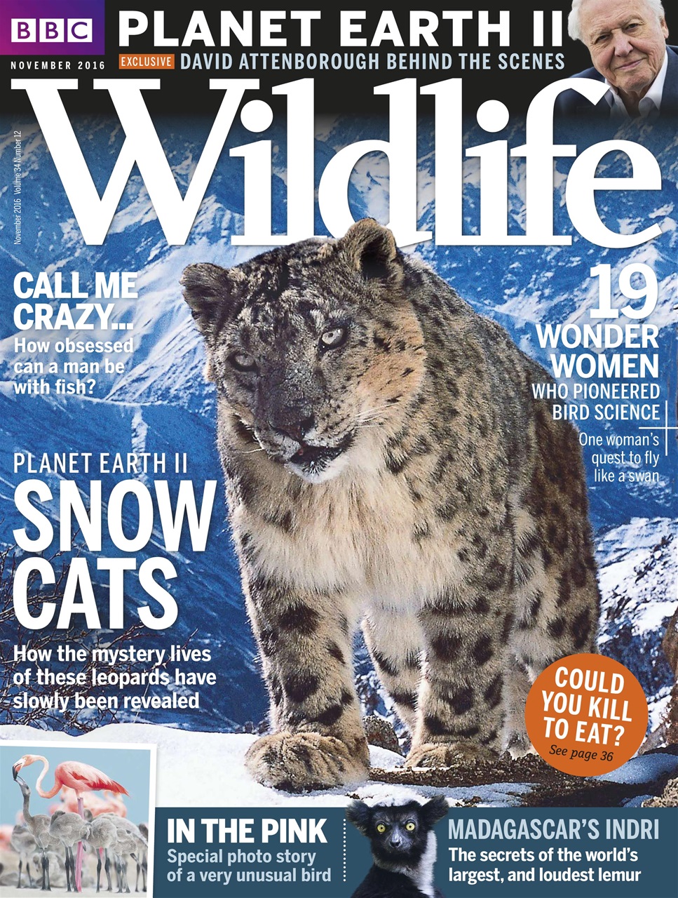 BBC Wildlife Magazine Preview Pages