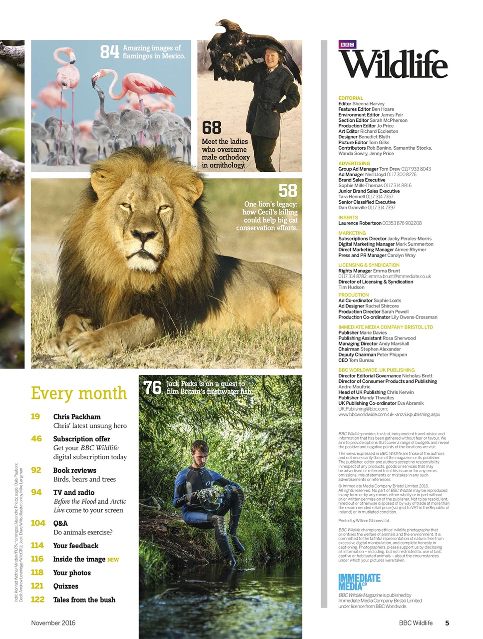 BBC Wildlife Magazine Preview Pages