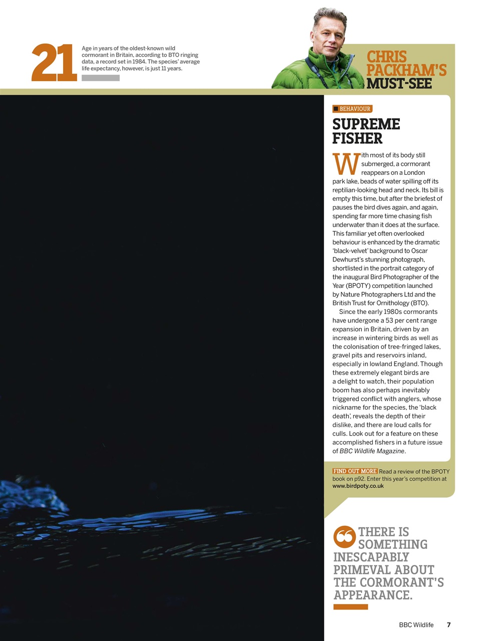 BBC Wildlife Magazine Preview Pages