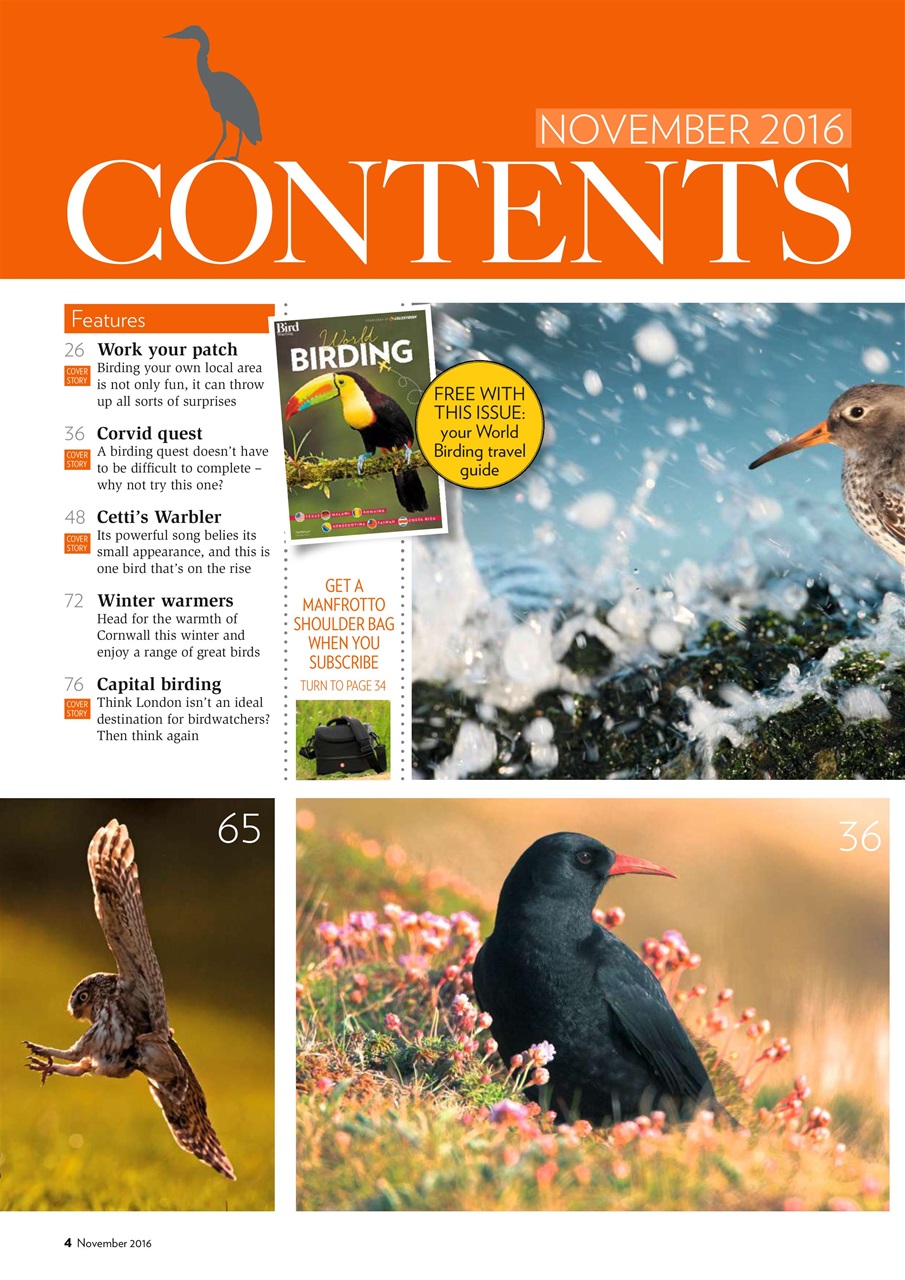 Bird Watching Preview Pages