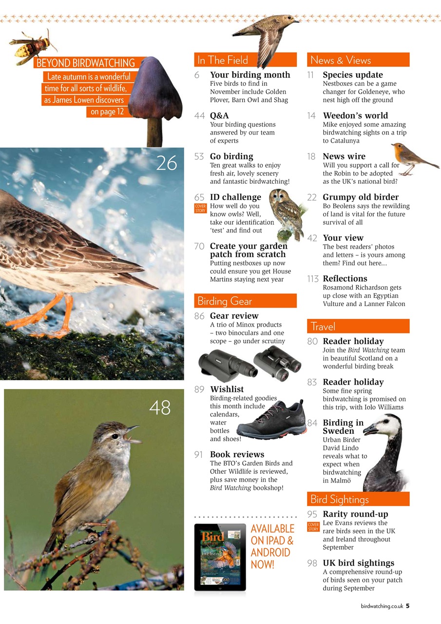 Bird Watching Preview Pages