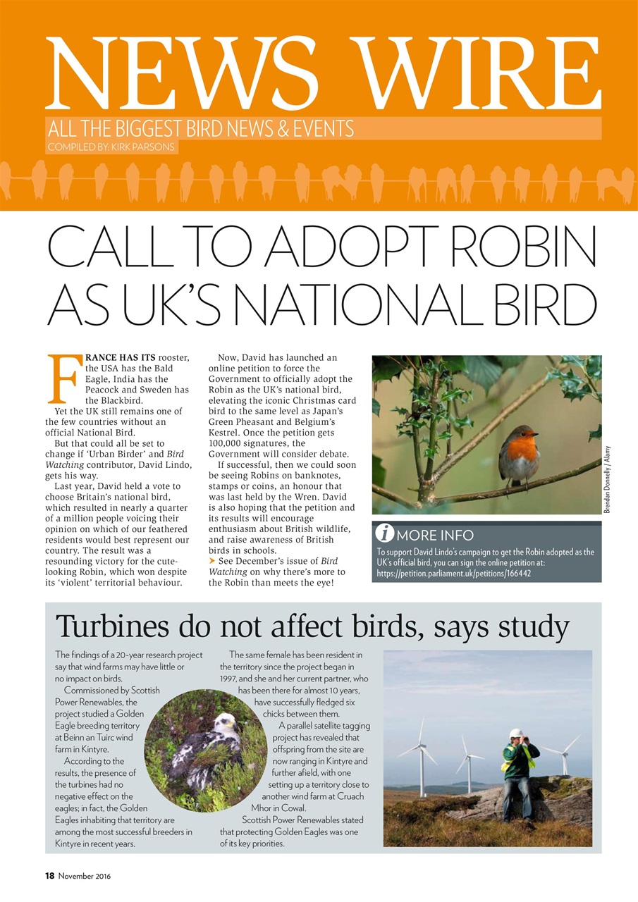 Bird Watching Preview Pages