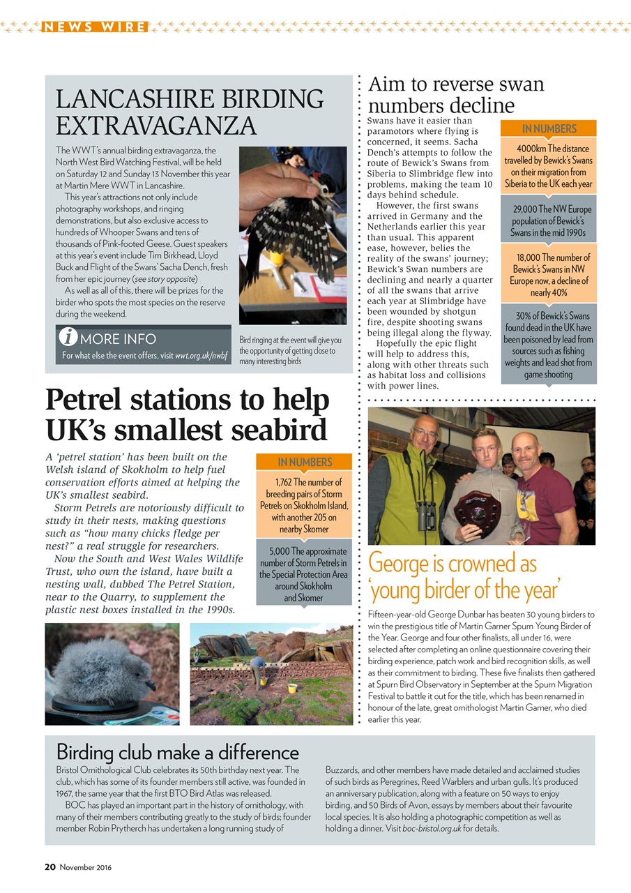 Bird Watching Preview Pages