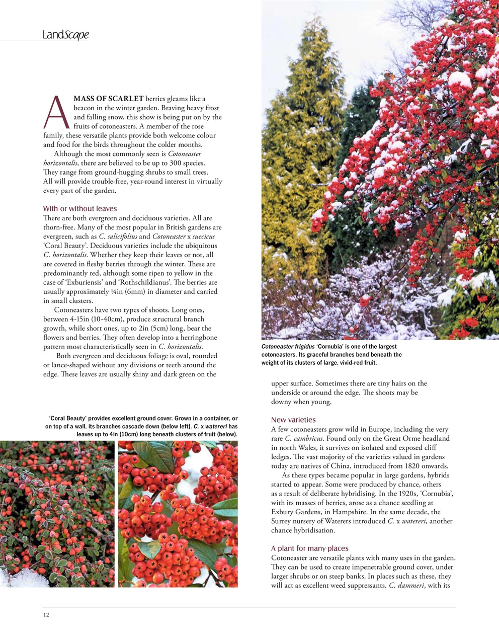 LandScape Preview Pages