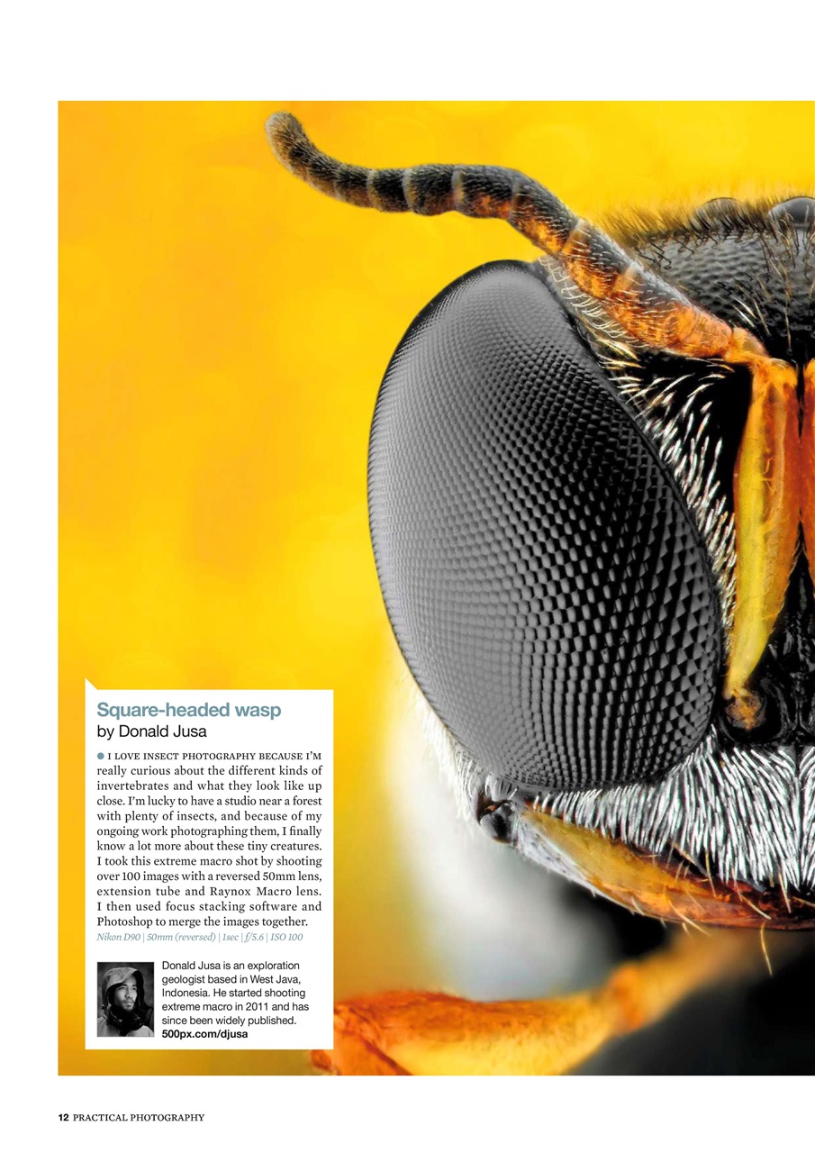 Practical Photography Preview Pages