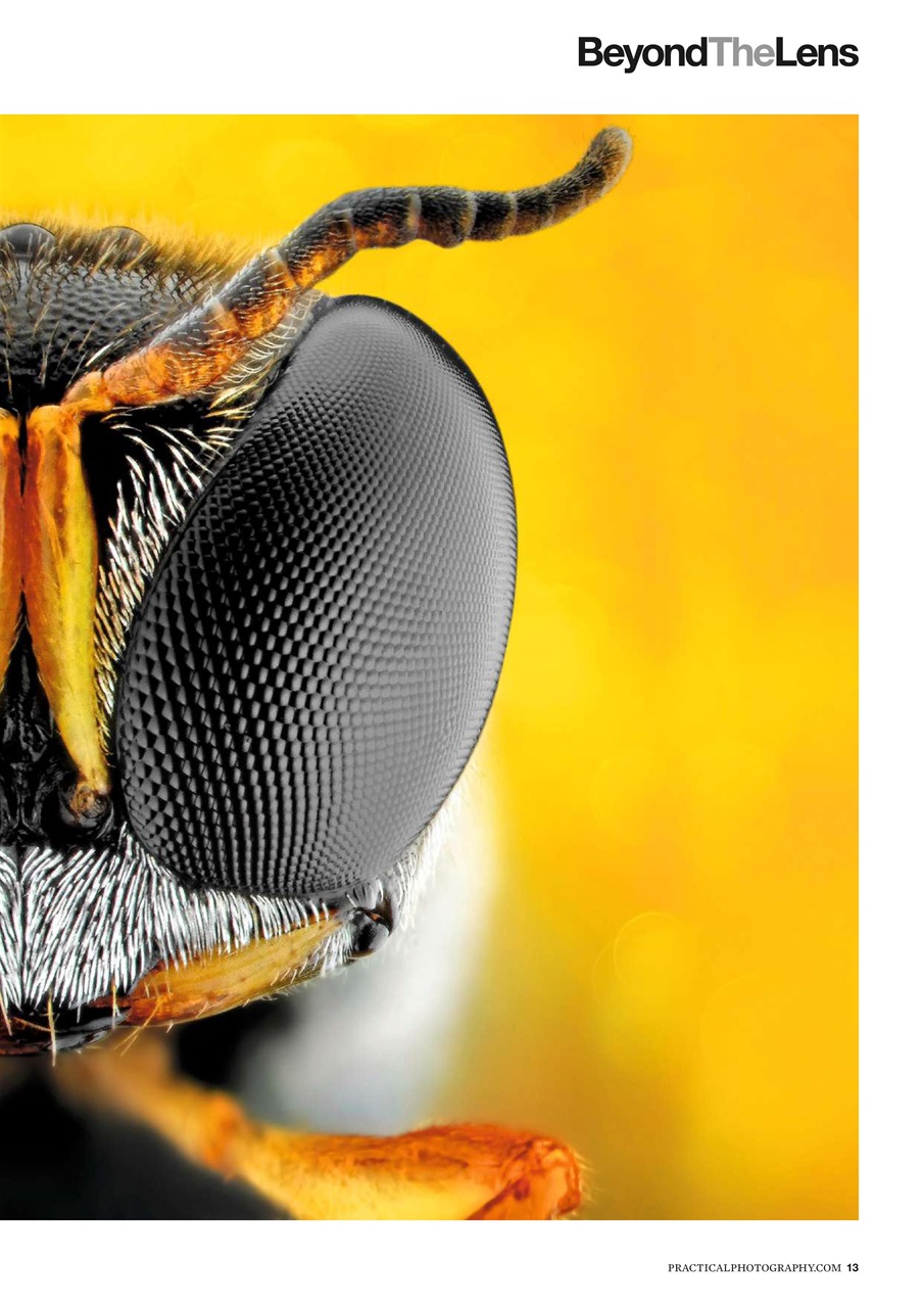 Practical Photography Preview Pages