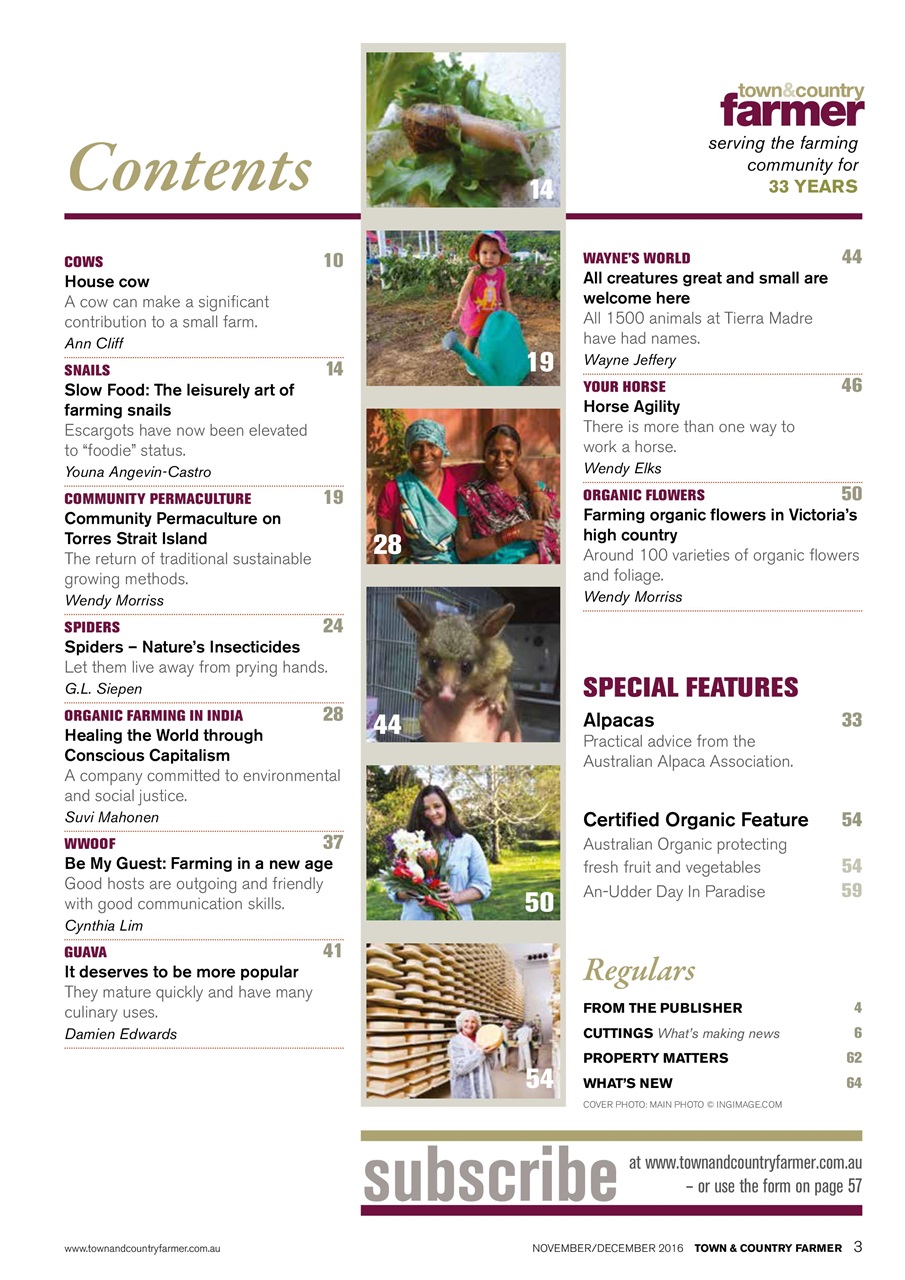 Town And Country Farmer Preview Pages