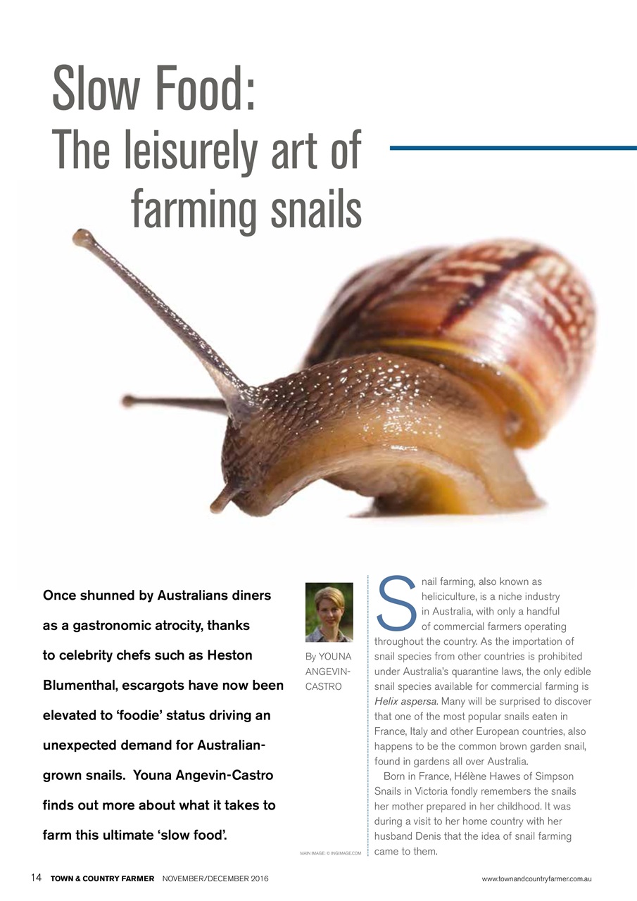 Town And Country Farmer Preview Pages