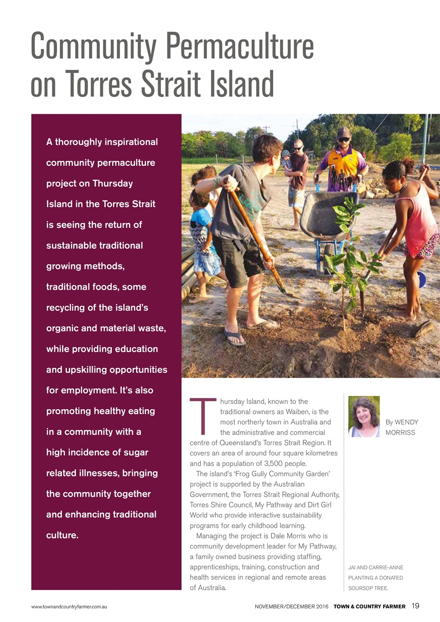 Town And Country Farmer Preview Pages