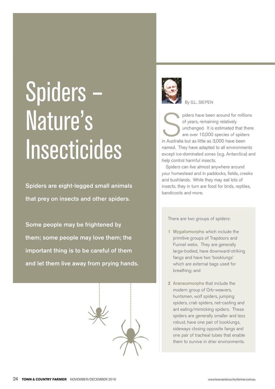 Town And Country Farmer Preview Pages