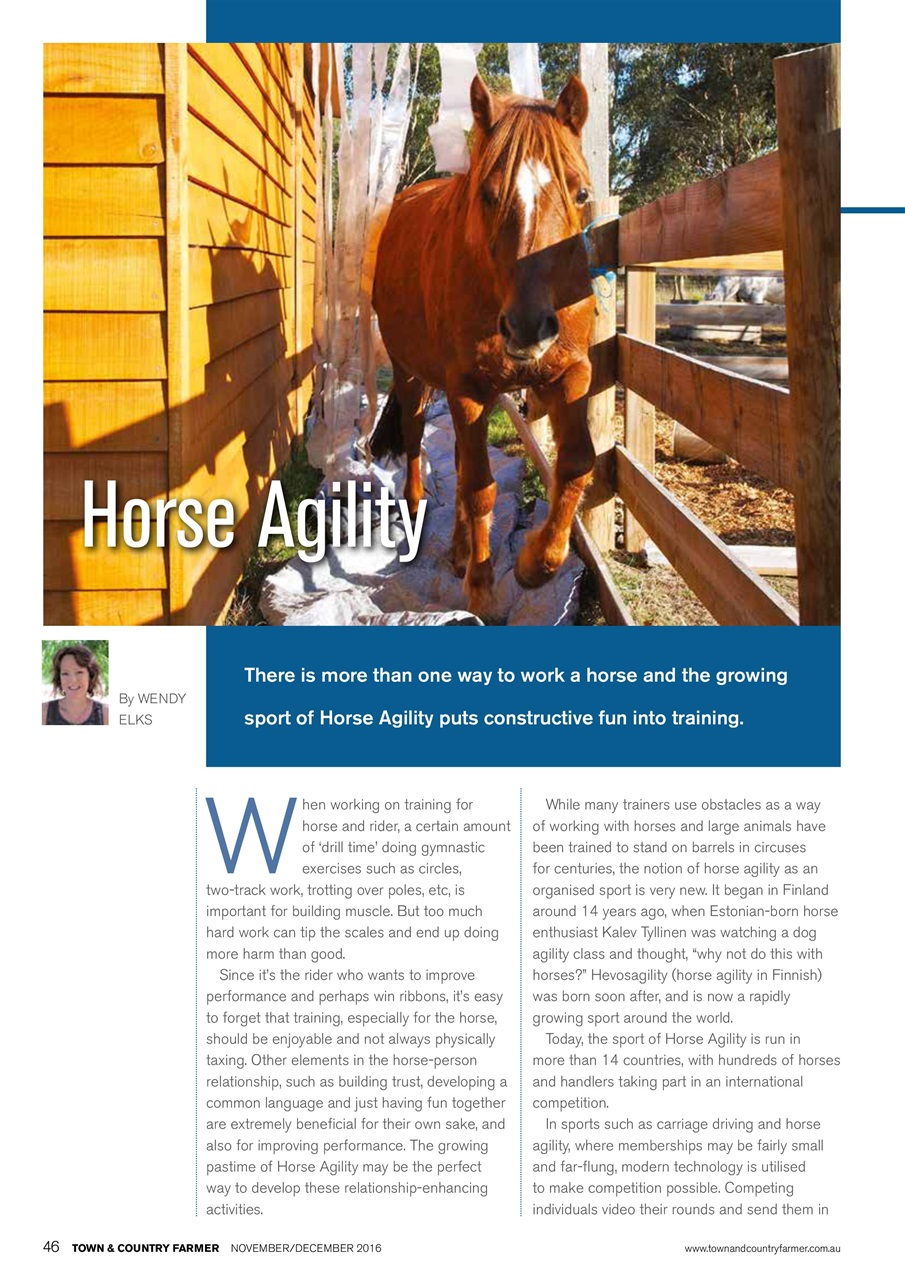 Town And Country Farmer Preview Pages