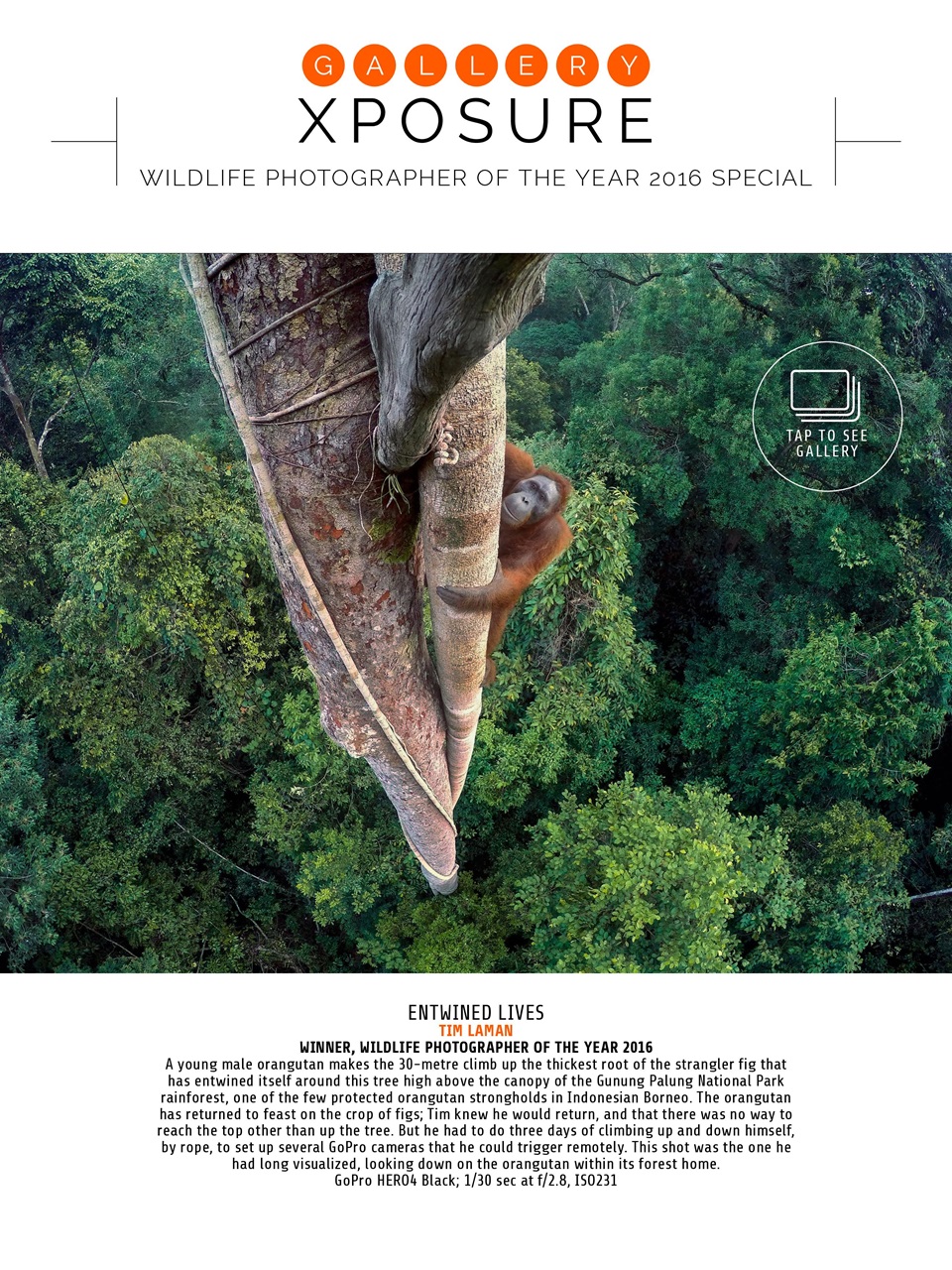 Photography Week Preview Pages