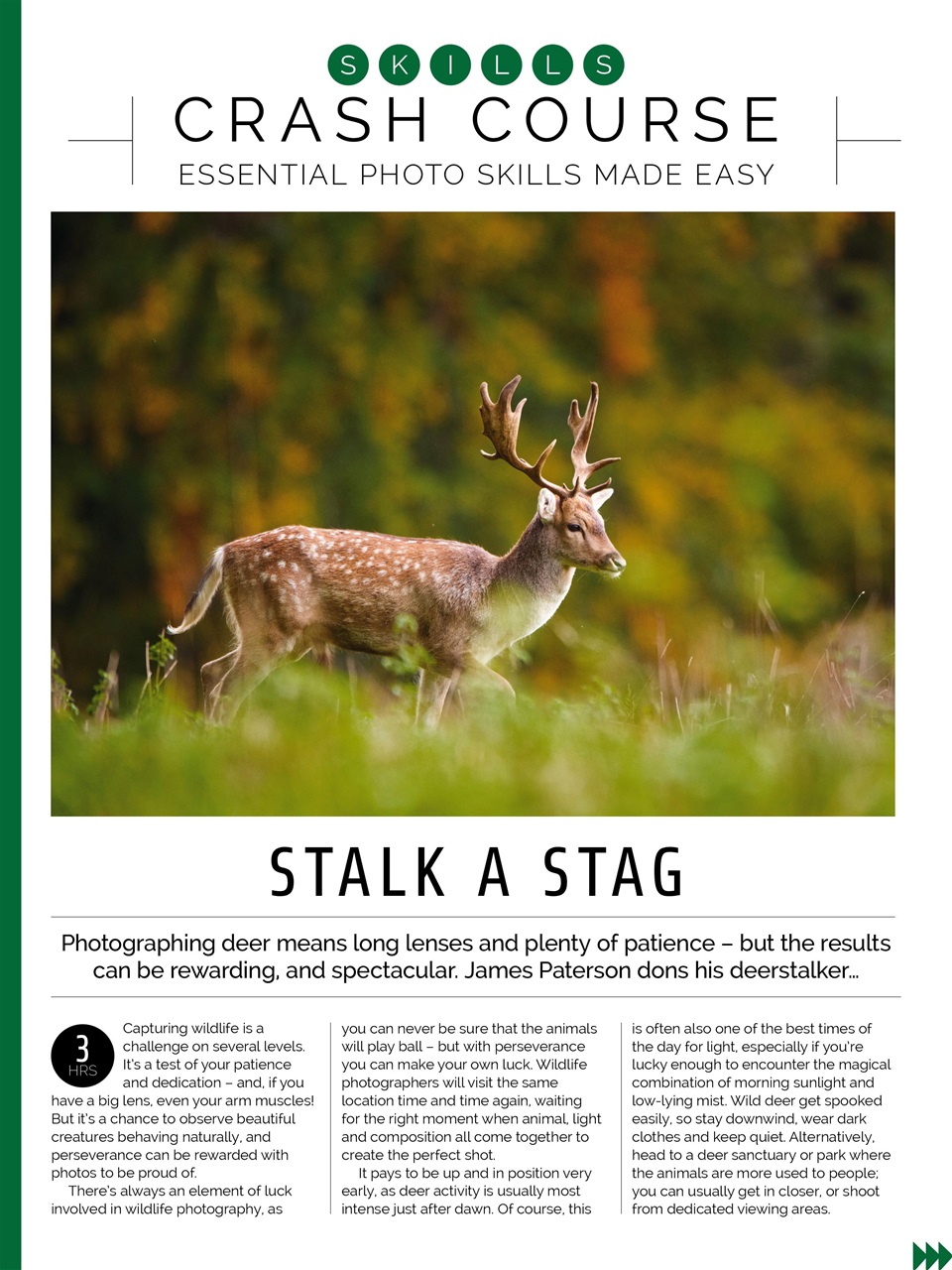 Photography Week Preview Pages