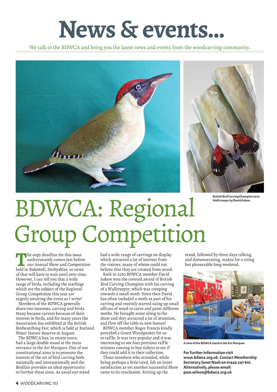 Woodcarving Preview Pages