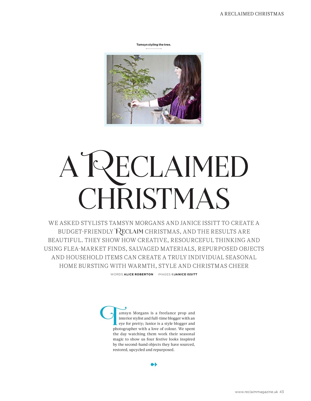 Reclaim Preview Pages