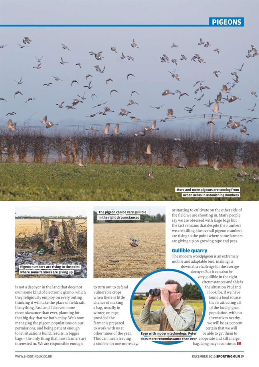 Sporting Gun Preview Pages