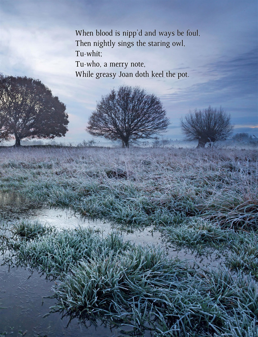 This England Preview Pages