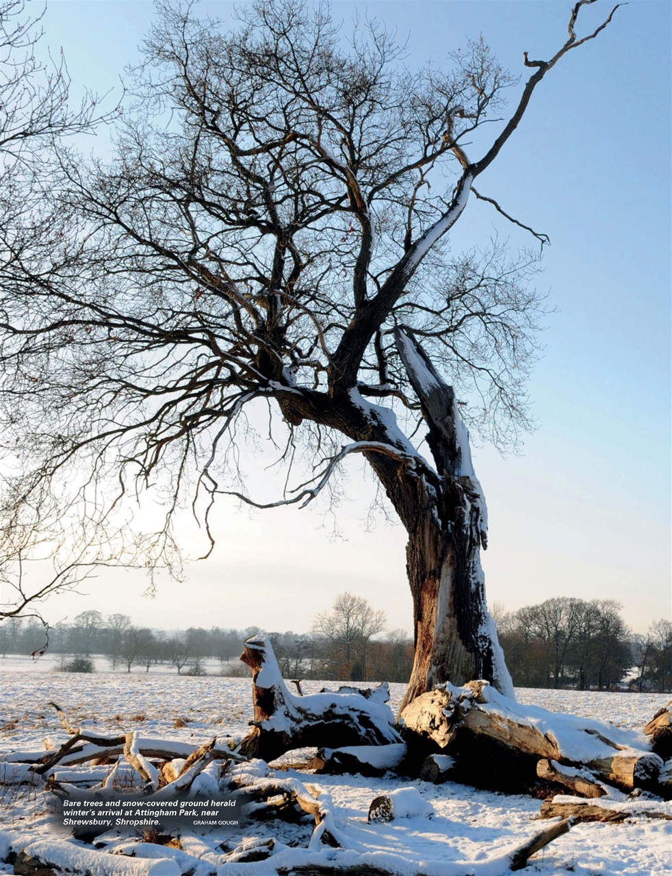 This England Preview Pages