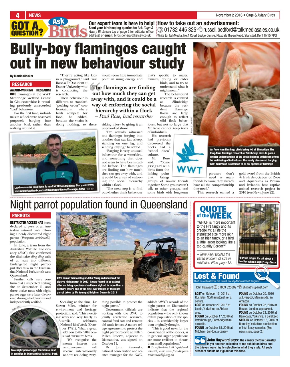 Cage & Aviary Birds Preview Pages