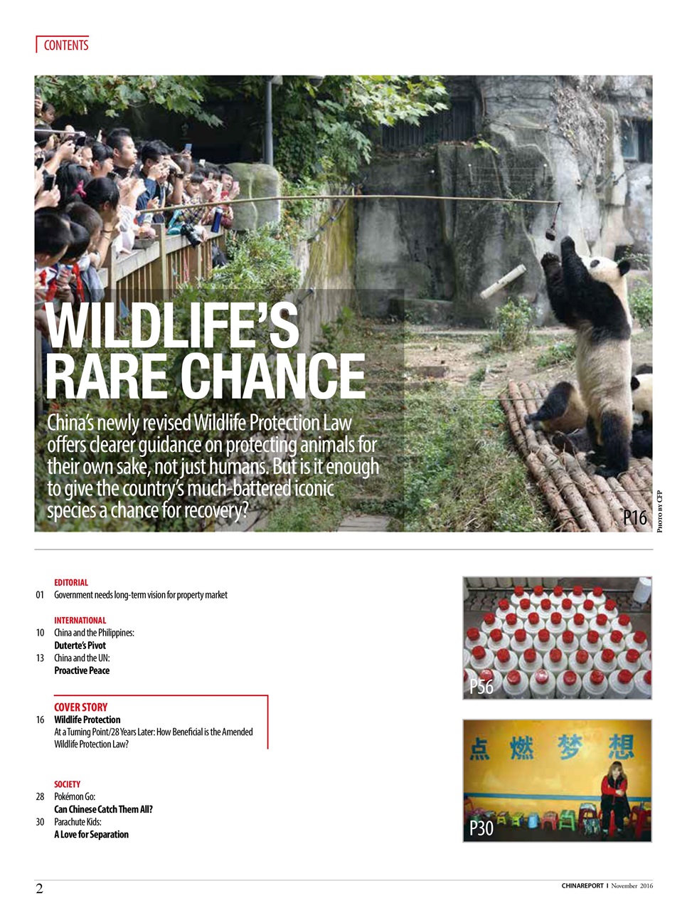 China Report Preview Pages