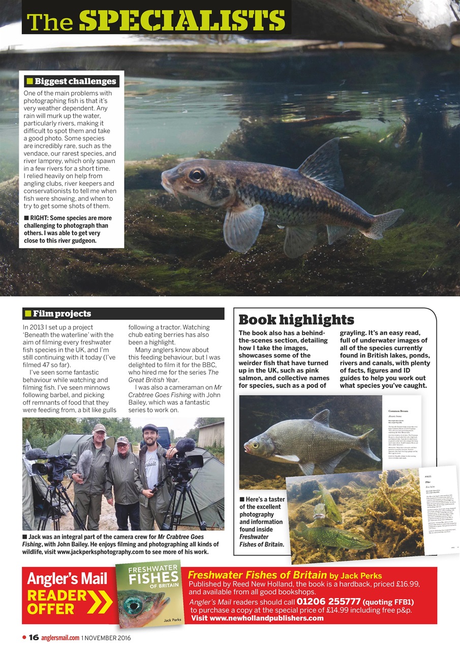Anglers Mail Preview Pages