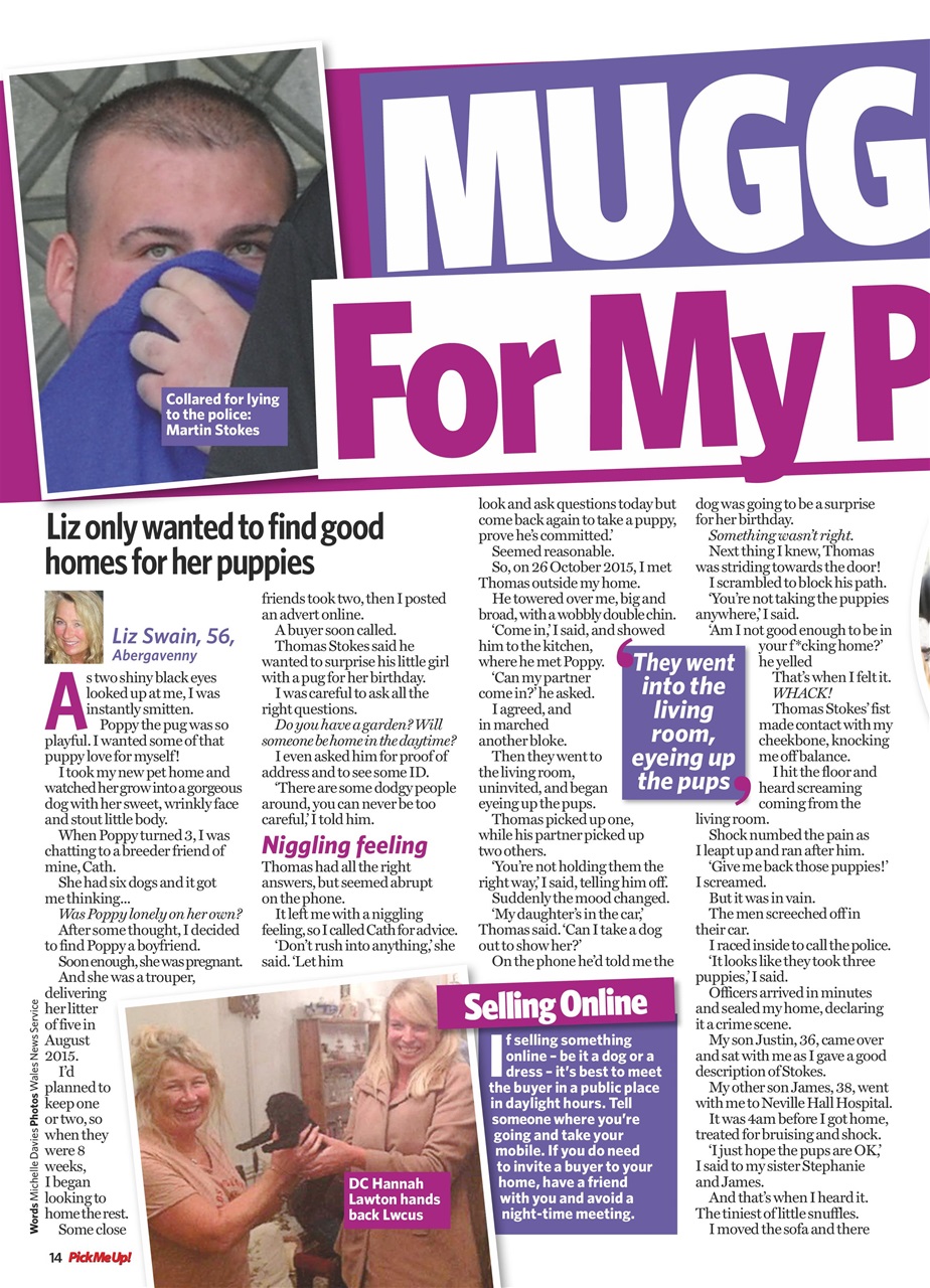 Pick Me Up Preview Pages