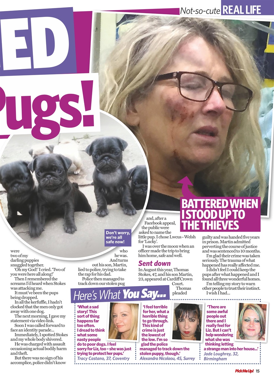 Pick Me Up Preview Pages