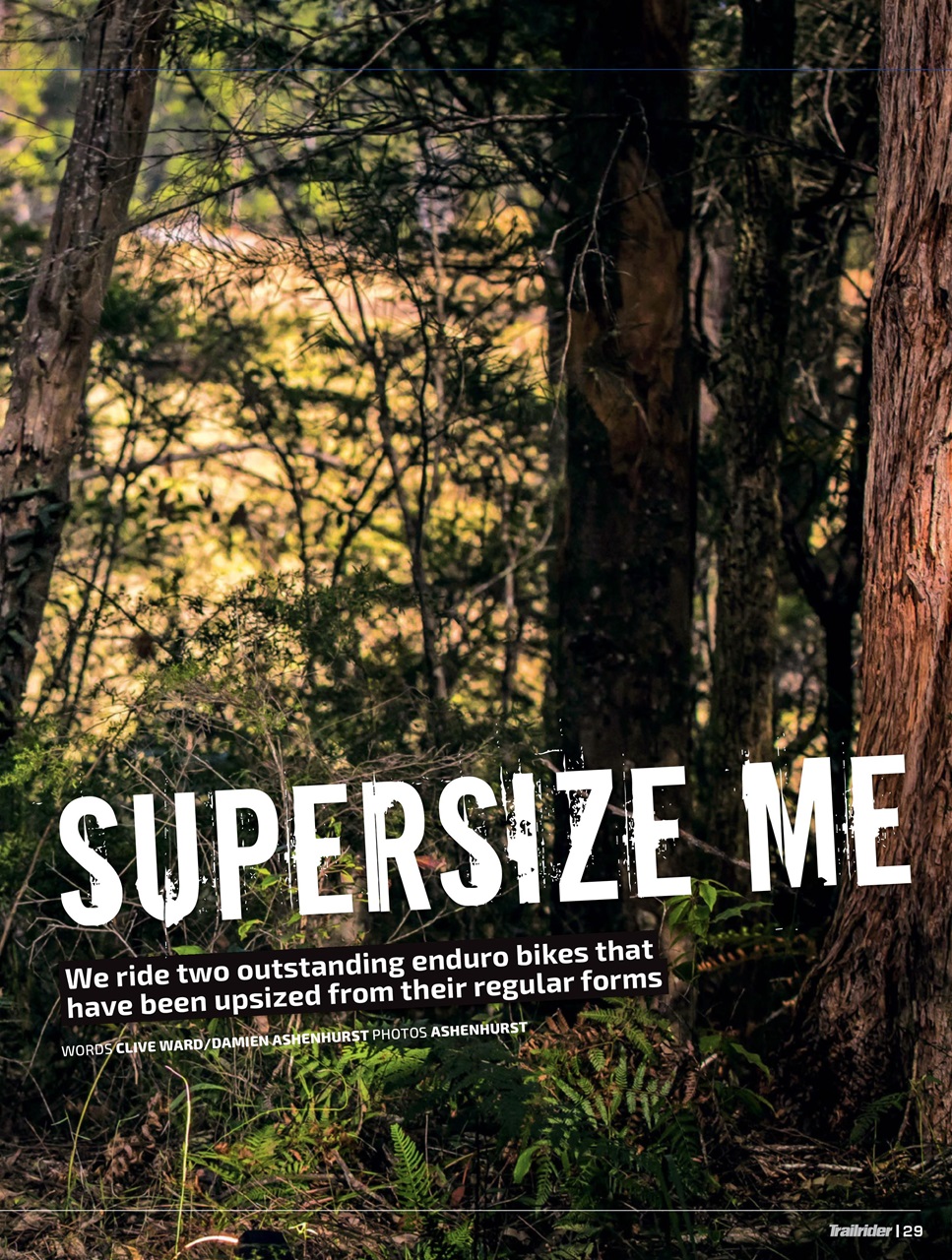 Trailrider Preview Pages