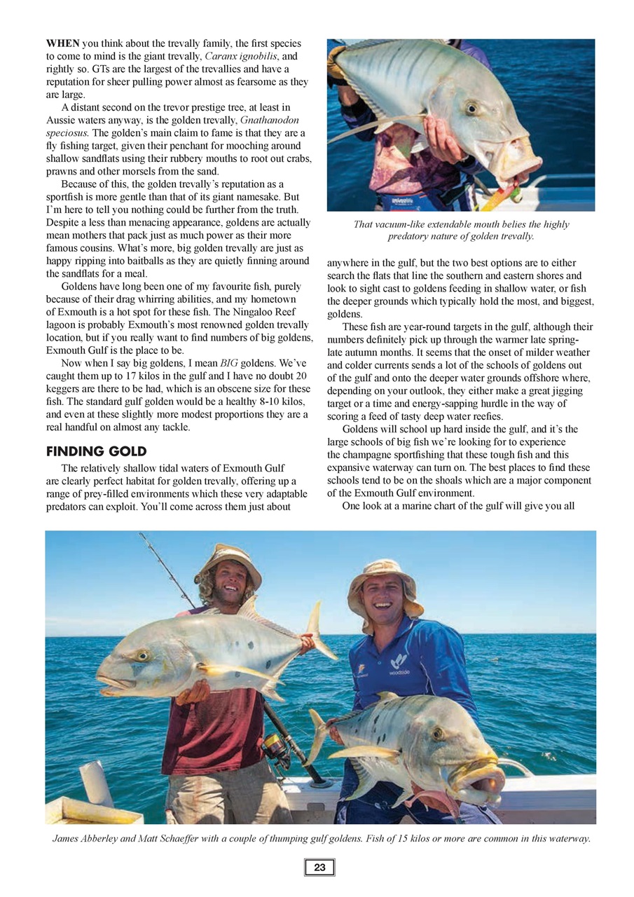 Western Angler Preview Pages