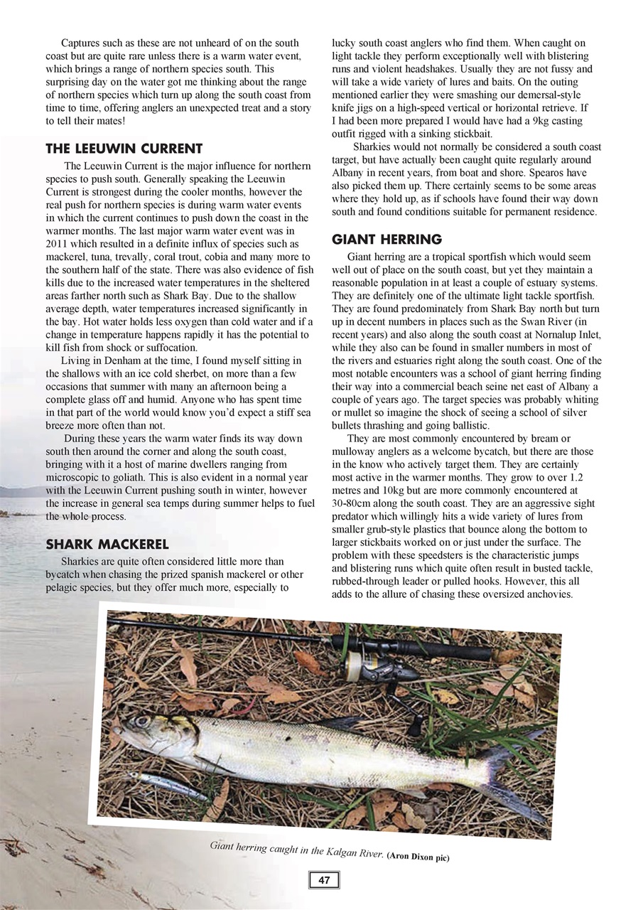 Western Angler Preview Pages