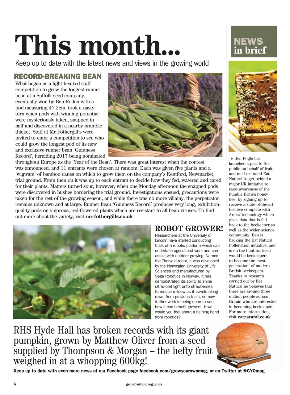 Grow Your Own Preview Pages