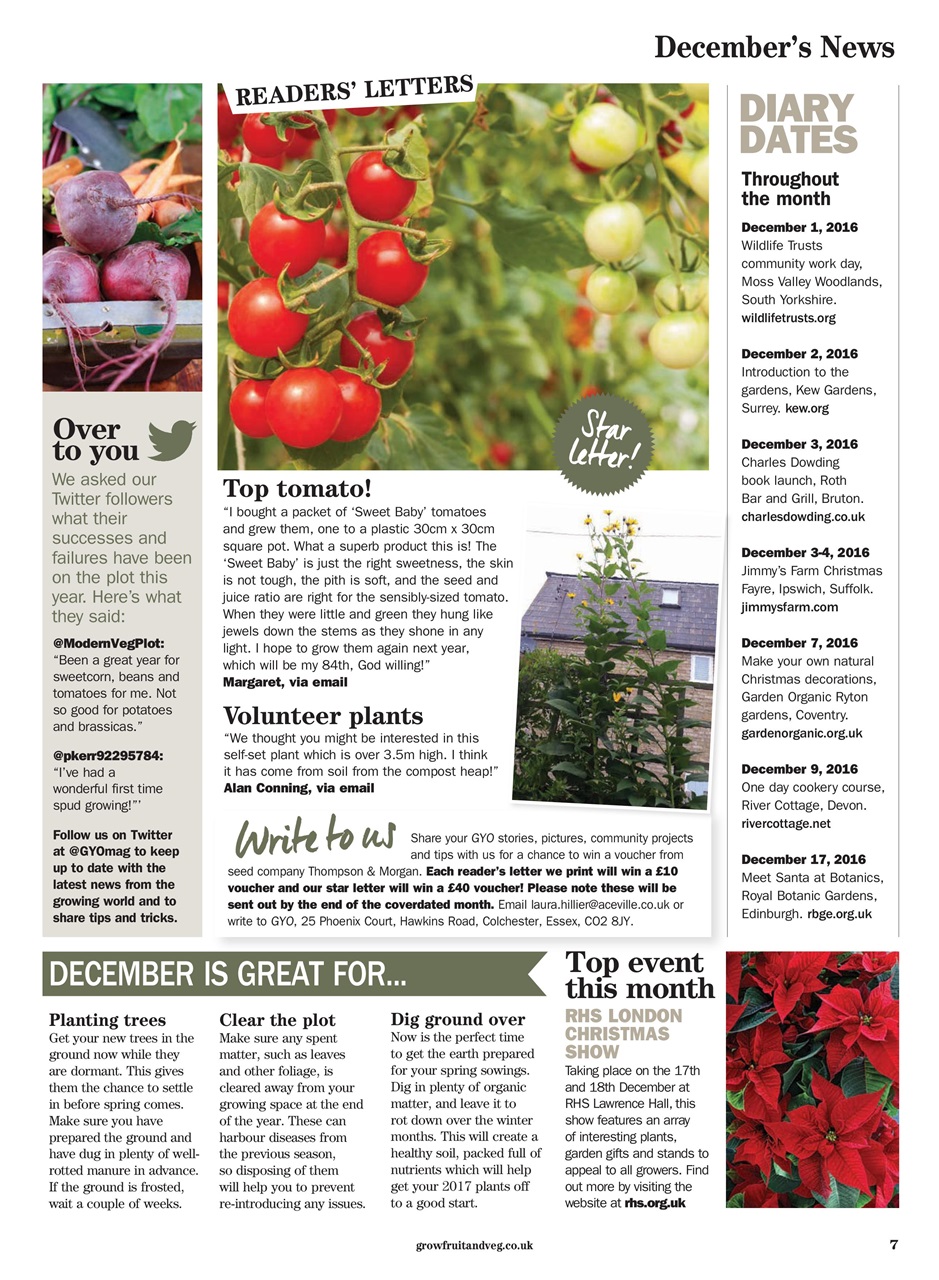 Grow Your Own Preview Pages