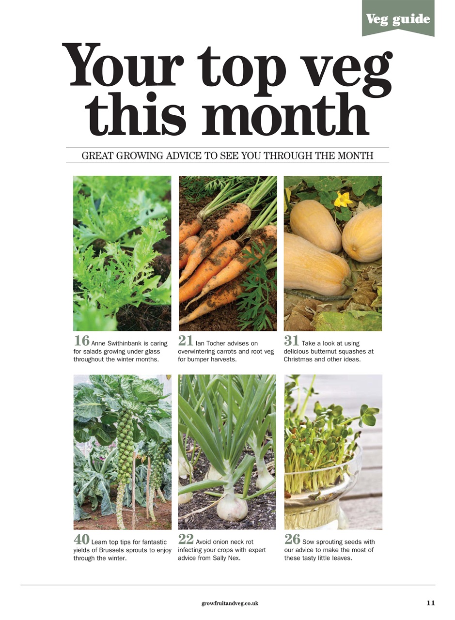 Grow Your Own Preview Pages