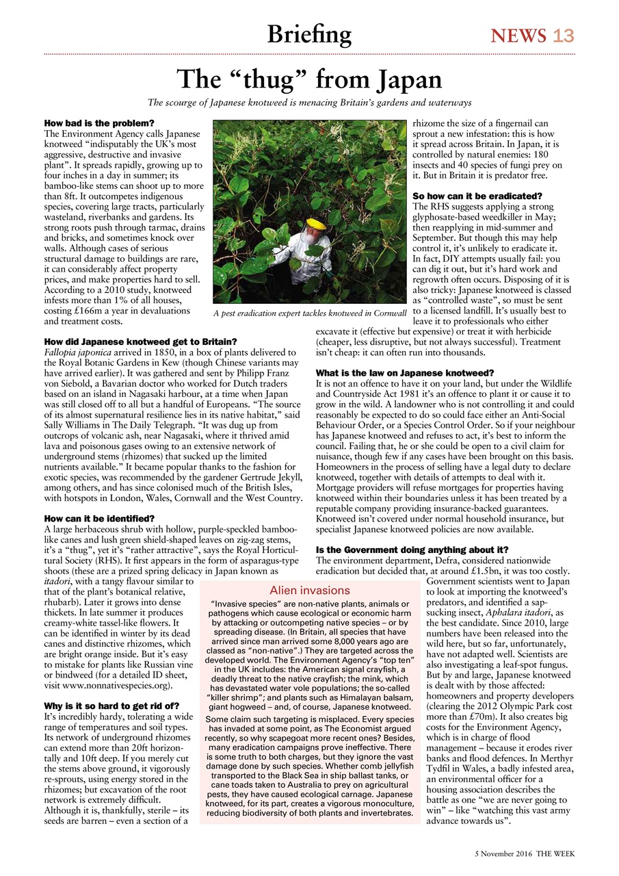 The Week Preview Pages