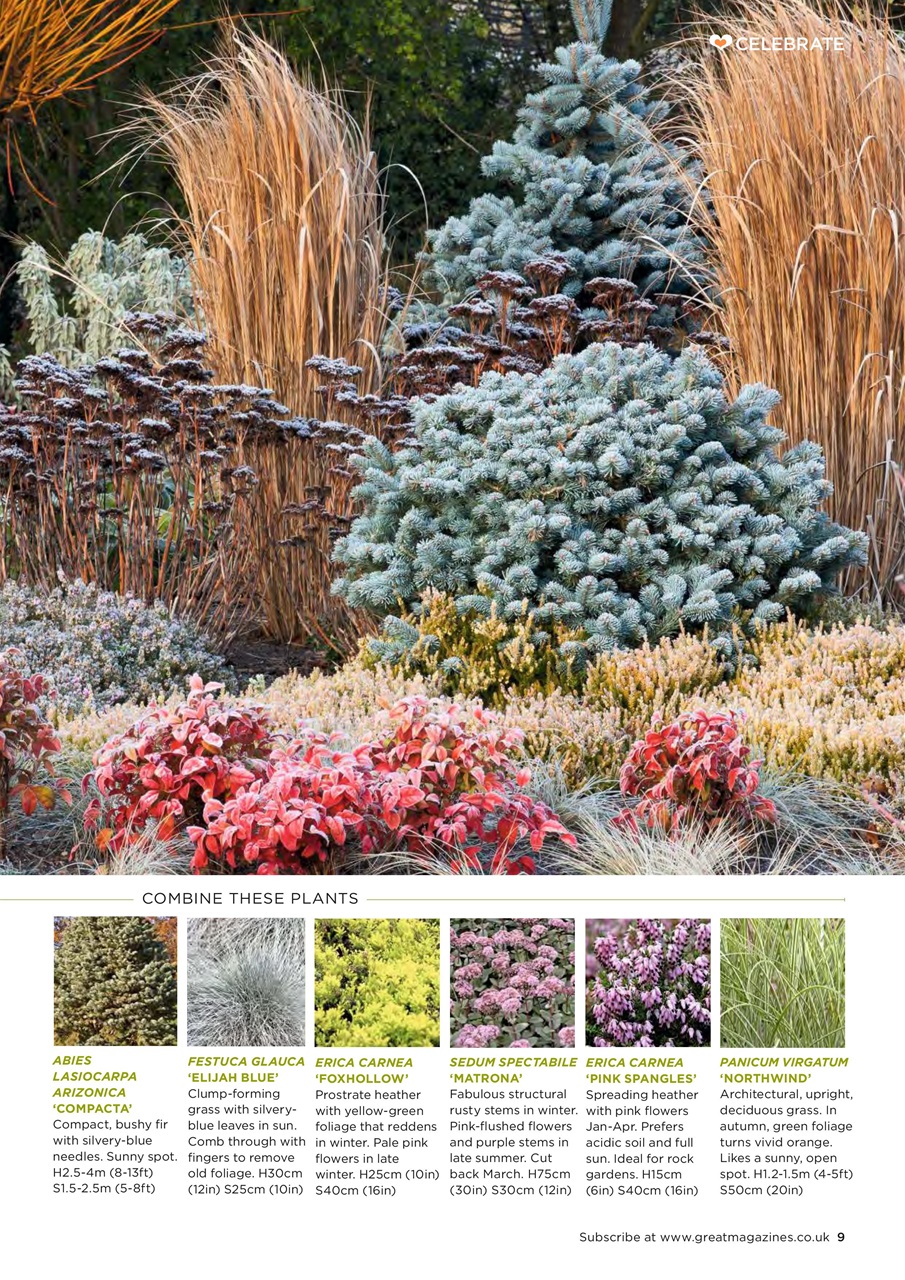 Garden Answers Preview Pages