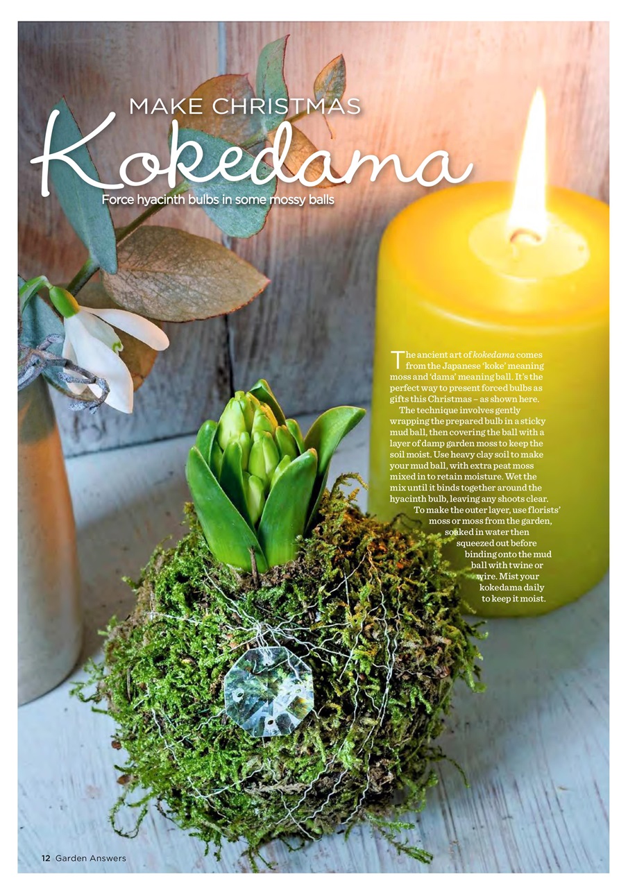 Garden Answers Preview Pages