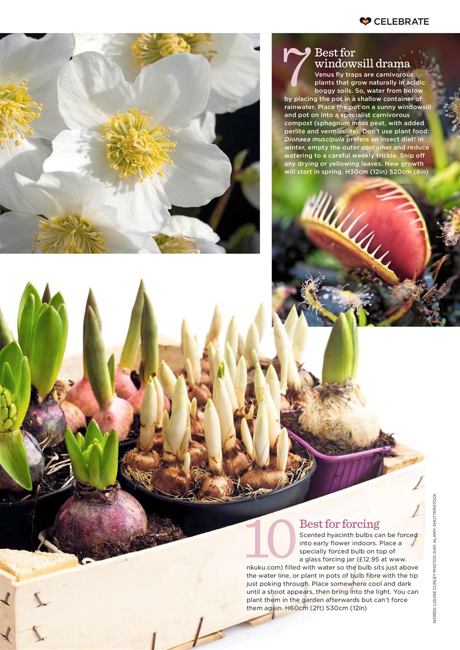 Garden Answers Preview Pages
