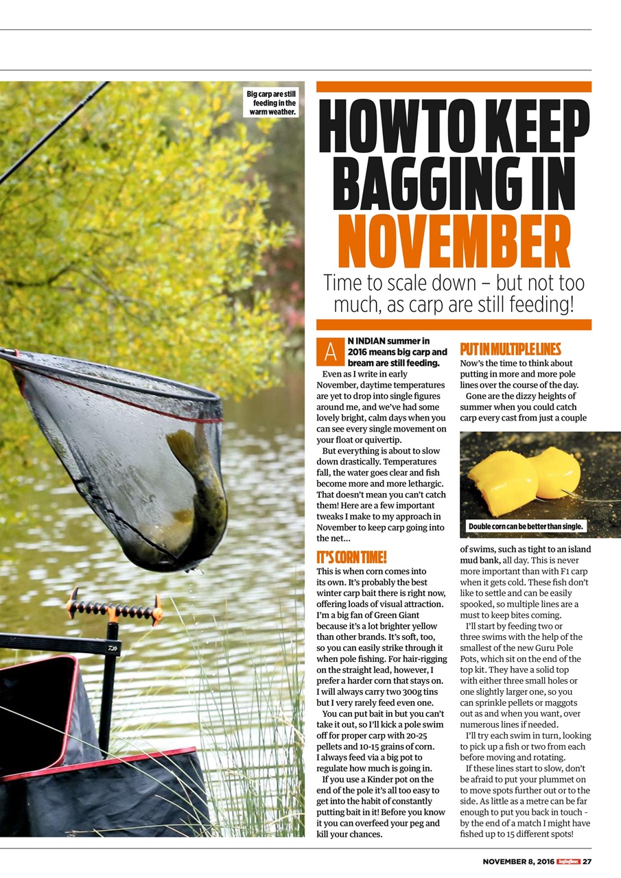 Angling Times Preview Pages