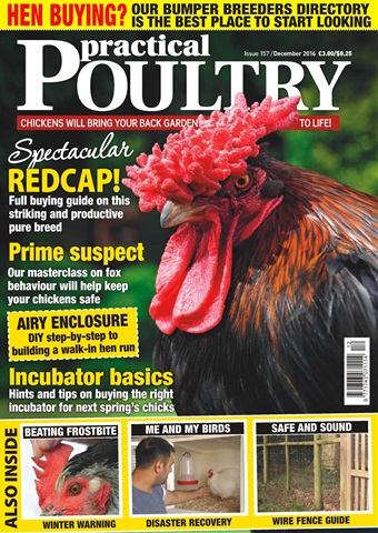 Practical Poultry issue No. 157 Spectacular Redcap!