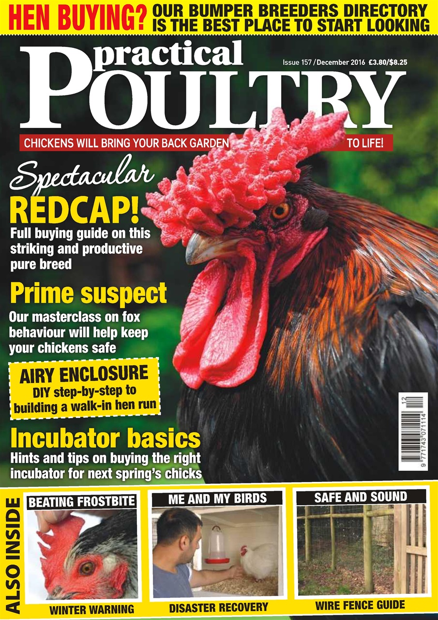 Practical Poultry Preview Pages